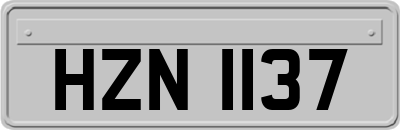 HZN1137