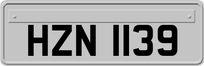 HZN1139