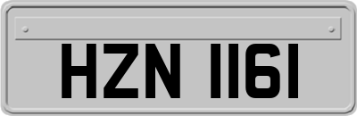 HZN1161