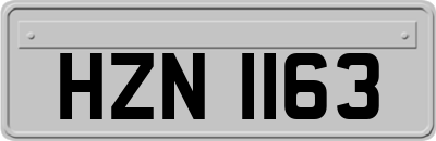 HZN1163
