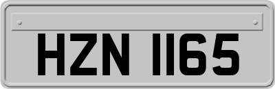 HZN1165