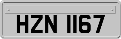 HZN1167