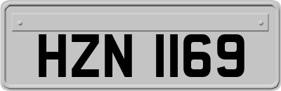 HZN1169