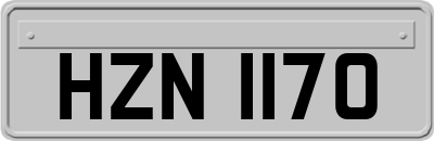 HZN1170