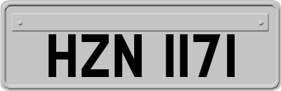 HZN1171