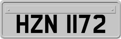 HZN1172