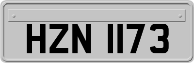 HZN1173