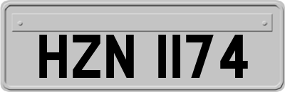 HZN1174