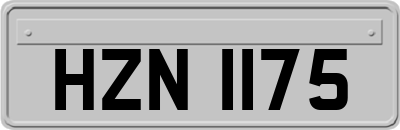 HZN1175