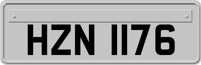 HZN1176