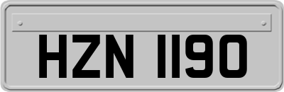 HZN1190