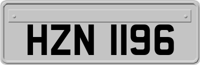 HZN1196