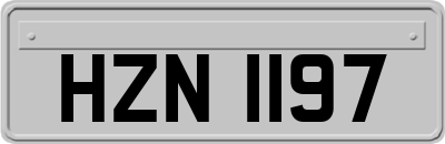 HZN1197