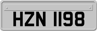 HZN1198