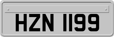 HZN1199