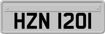 HZN1201