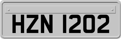 HZN1202