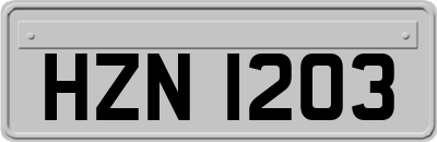 HZN1203