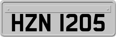 HZN1205