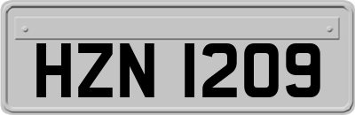 HZN1209
