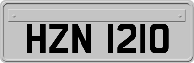 HZN1210