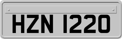 HZN1220