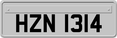 HZN1314