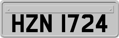 HZN1724