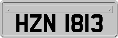 HZN1813