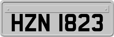 HZN1823