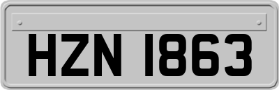 HZN1863