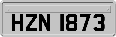 HZN1873