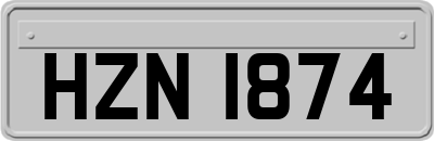 HZN1874