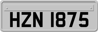 HZN1875