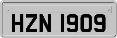 HZN1909