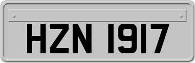 HZN1917