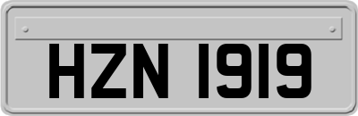 HZN1919