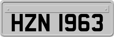 HZN1963