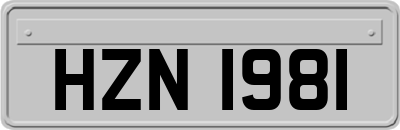 HZN1981