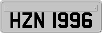 HZN1996