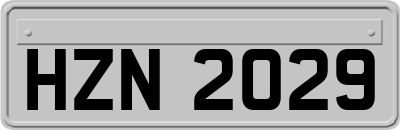 HZN2029