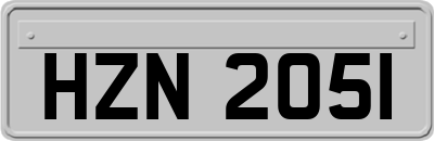 HZN2051