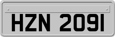 HZN2091