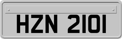 HZN2101