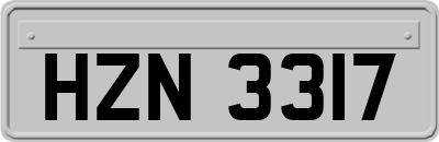 HZN3317