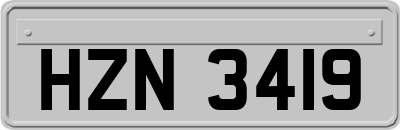 HZN3419
