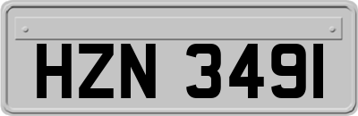HZN3491
