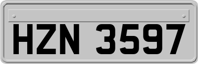 HZN3597