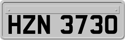 HZN3730