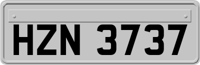 HZN3737